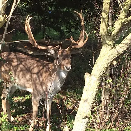 Aquarius Casa de hóspedes 4*