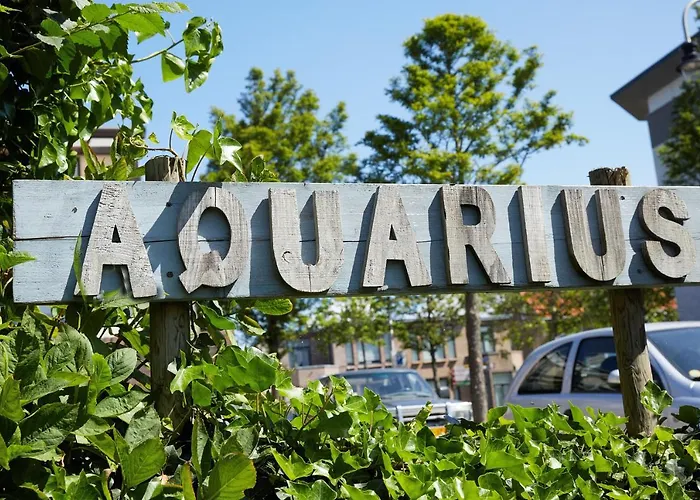 招待所 Aquarius 赞德沃特