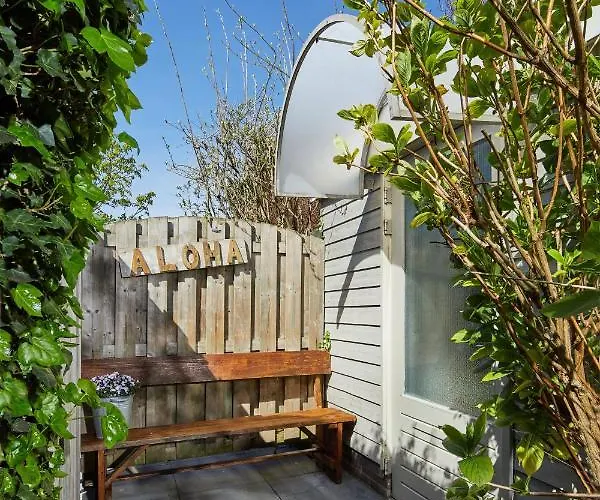 Aquarius 赞德沃特