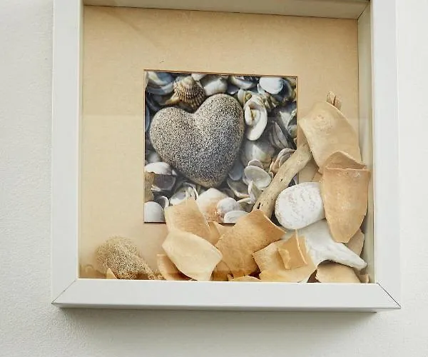 Aquarius 招待所 赞德沃特