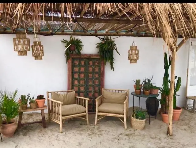 Aquarius 赞德沃特