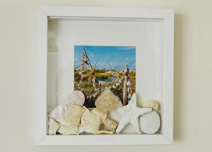 招待所 Aquarius 4*