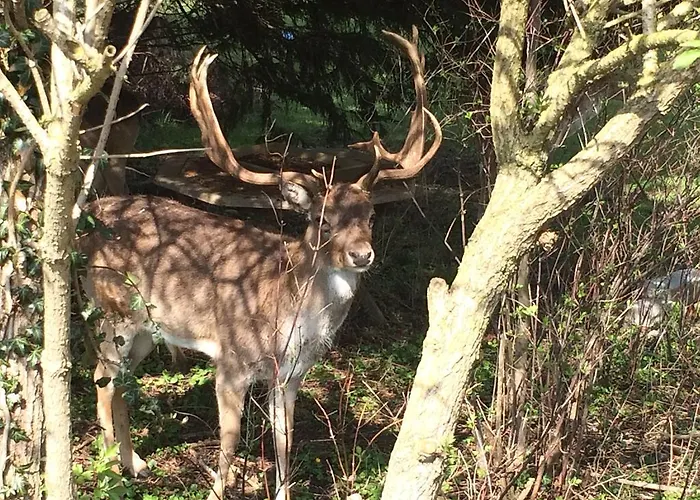 Aquarius 招待所 4*