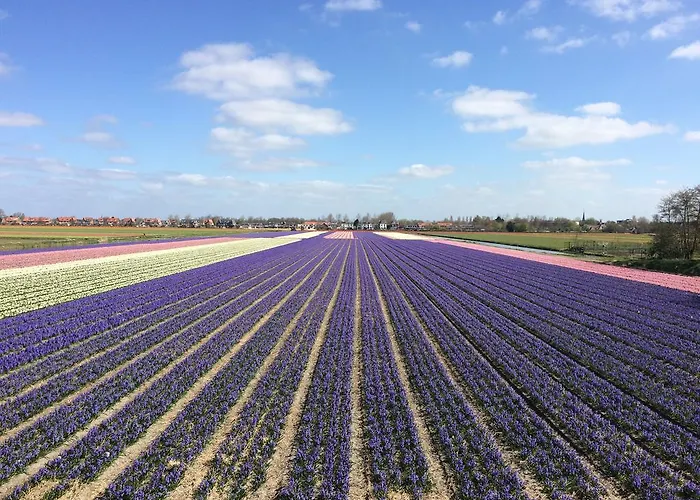 Aquarius 4* 赞德沃特