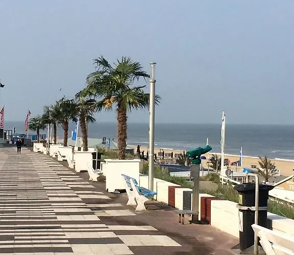 Aquarius 招待所 赞德沃特