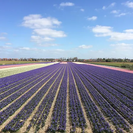 Aquarius 4* Zandvoort